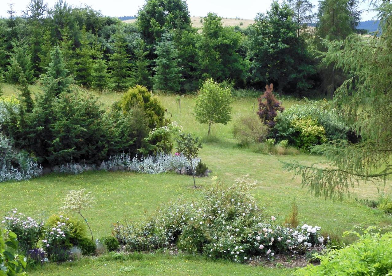 Villa Orlik Barlinek Extérieur photo
