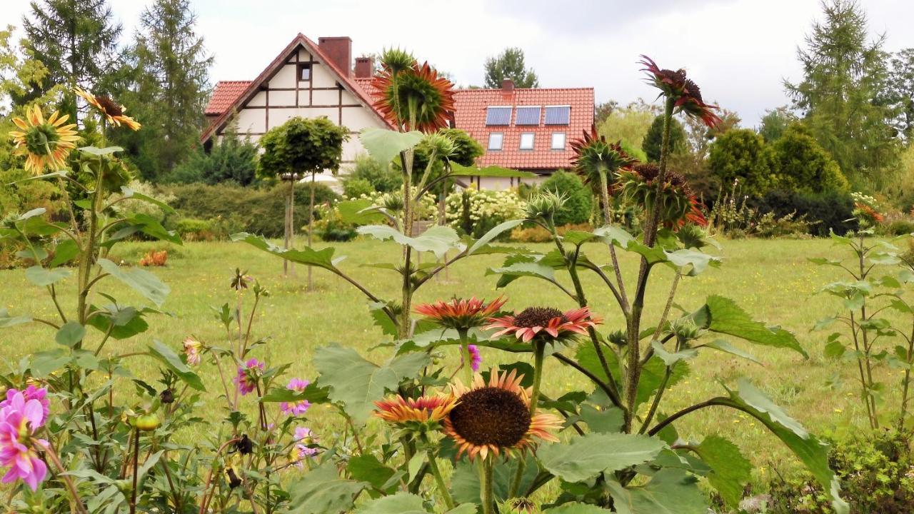 Villa Orlik Barlinek Extérieur photo